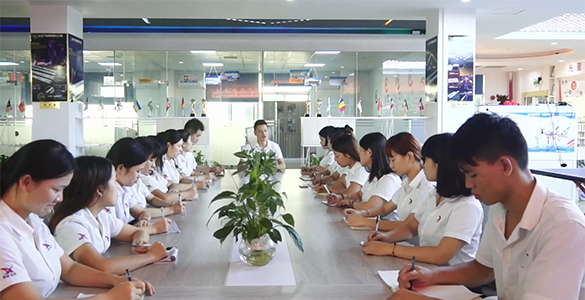 Professional Support Team and Warranty Service