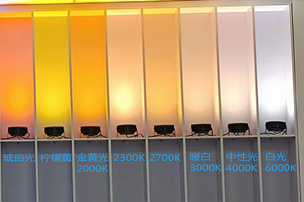 A spectrum of light bulbs from 2700K warm yellow to 5000K cool white