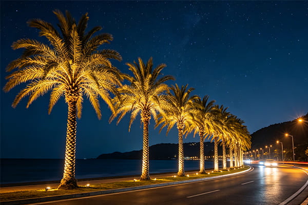 A row of perfectly lit palm trees along a scenic road at night