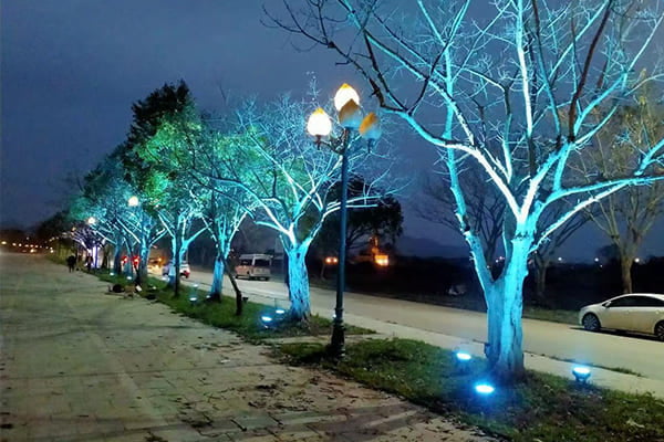 Spike lights used to uplight a large tree